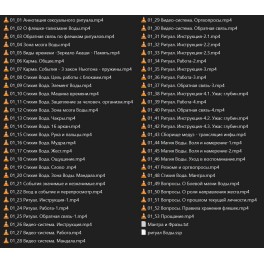 Видеолекция Ритуал Вода + Видеосистема + Флешка + ВИДЕОНАРЕЗКИ
